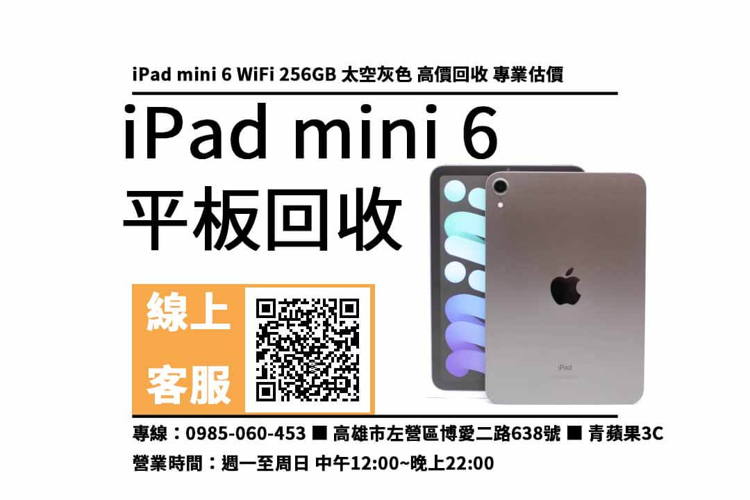 ipad mini 6 WIFI 高雄